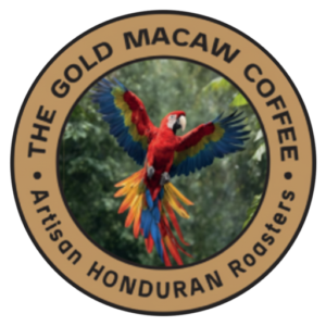 macaw logo